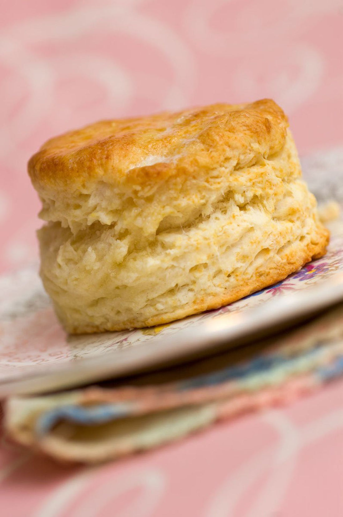 Cheddar Biscuits